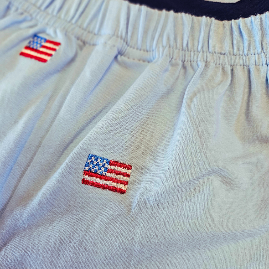 Light blue shorts with American flag embroidery on a plain background.