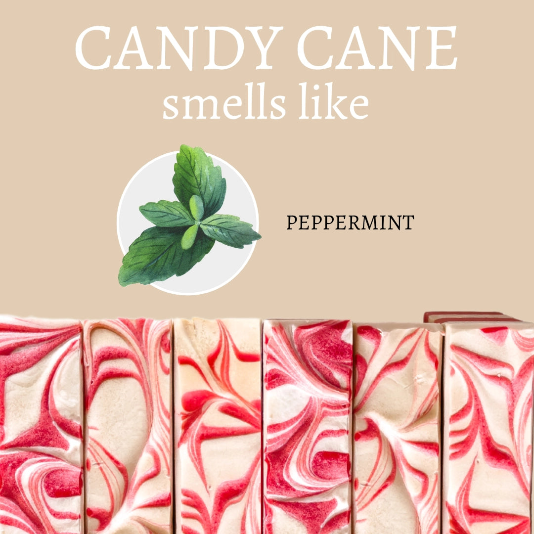 Candy cane swabs with peppermint leaves on a beige background