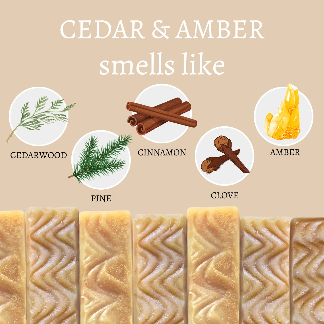 Illustration of cedarwood, cinnamon, pine, clove, and amber with corresponding soap bars on a beige background.