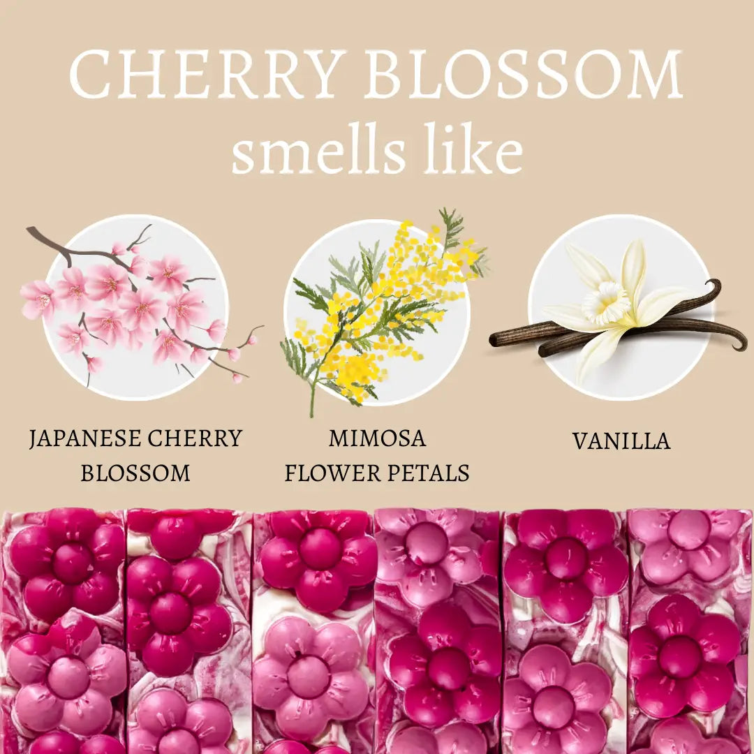 Chart showing what cherry blossom, mimosa, and vanilla smell like with corresponding images and text.